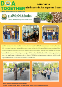 ฉบับที่ 41