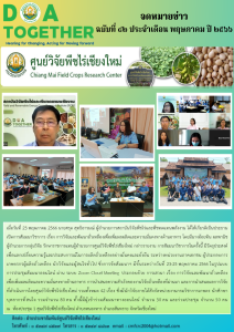 ฉบับที่ 42