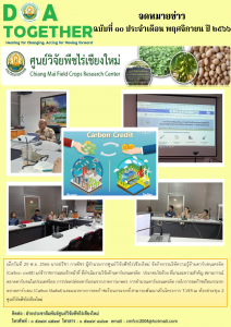 ฉบับที่ 10