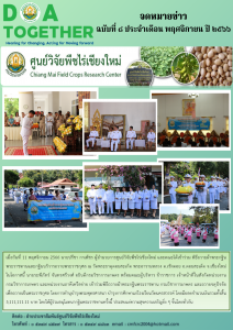 ฉบับที่ 8