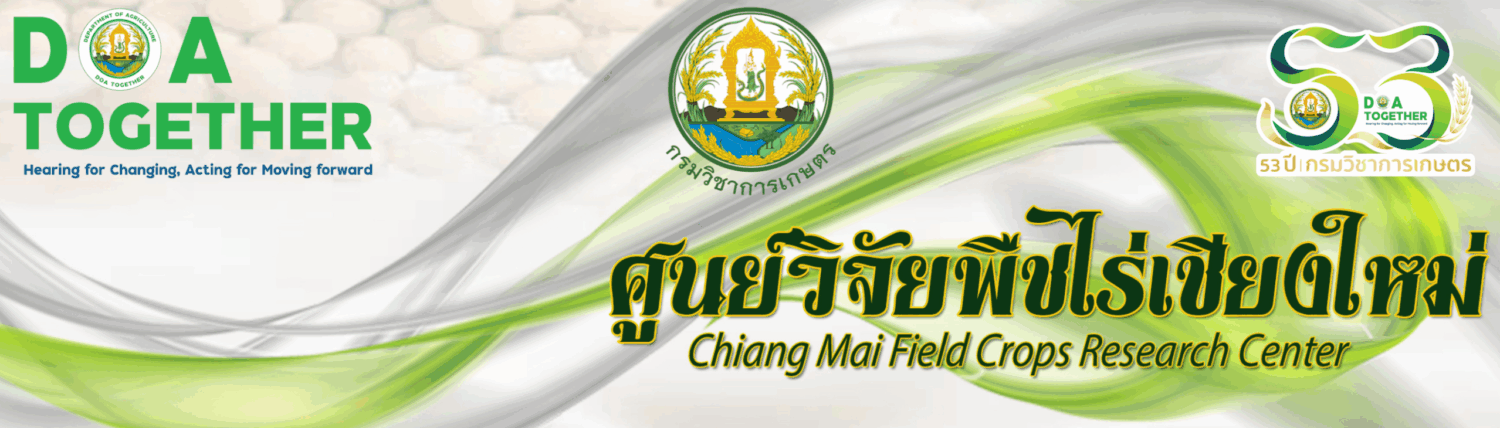 ศูนย์วิจัยพืชไร่เชียงใหม่