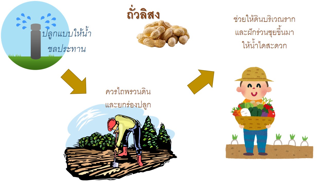 Slide2
