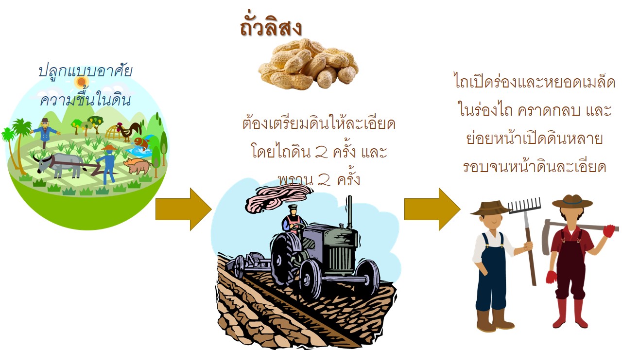 Slide3