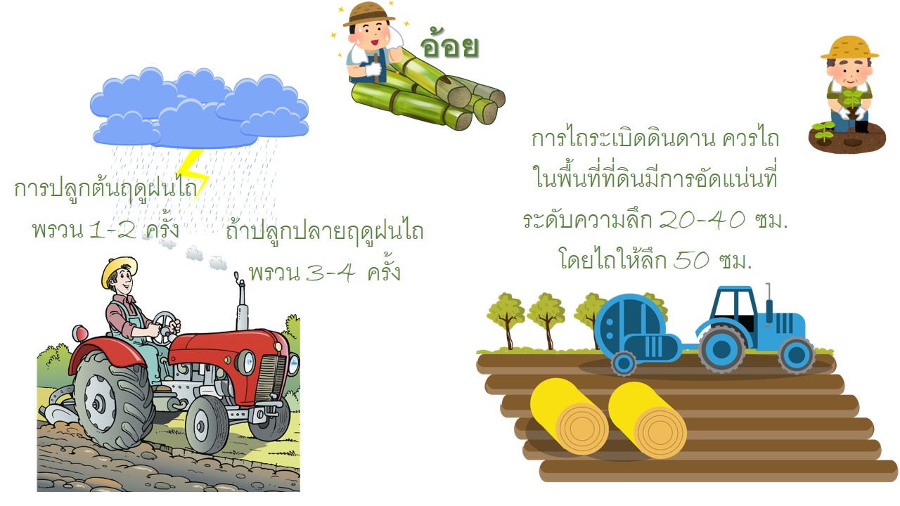 Slide4