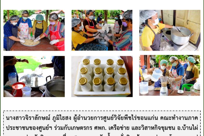 ฉบับที่ 27