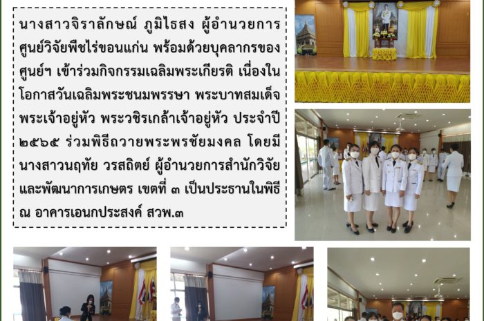 ฉบับที่ 28