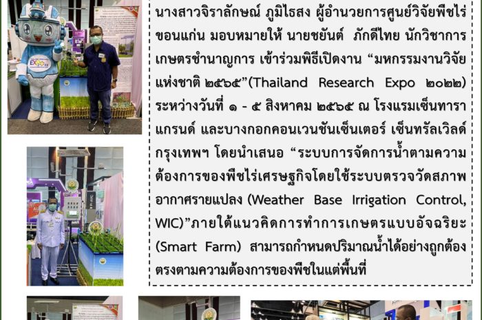 ฉบับที่ 29