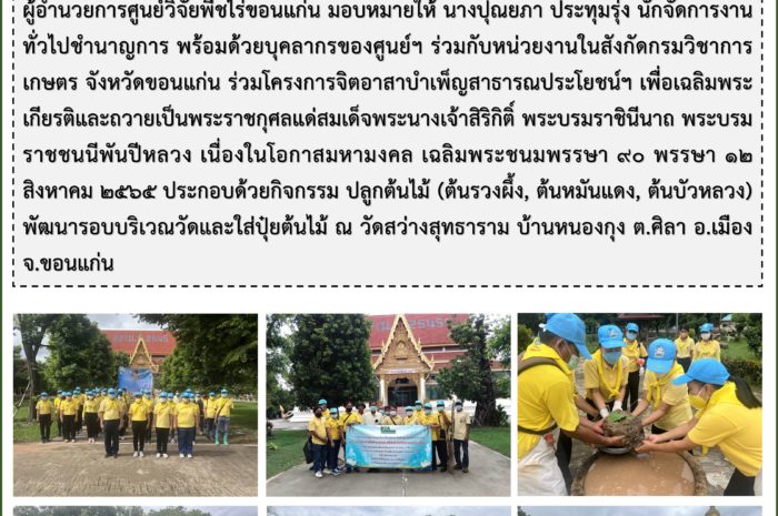 ฉบับที่ 30