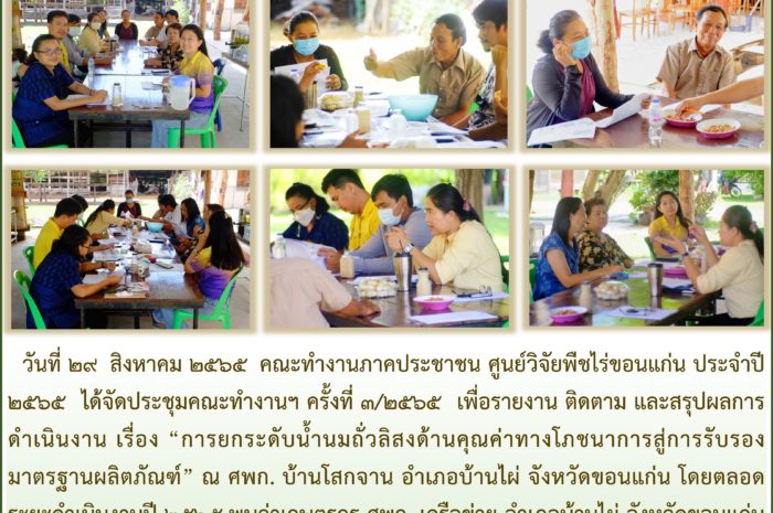 ฉบับที่ 31