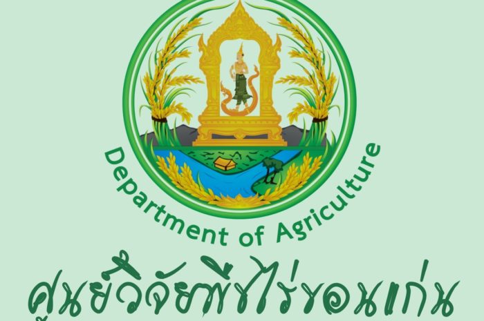 เรื่อง การขายทอดตลาดพัสดุ