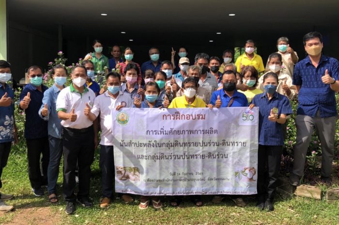 การเพิ่มศักยภาพการผลิตมันสำปะหลังในกลุ่มดินทรายปนร่วน-ดินทราย และกลุ่มดินร่วนปนทราย-ดินร่วน