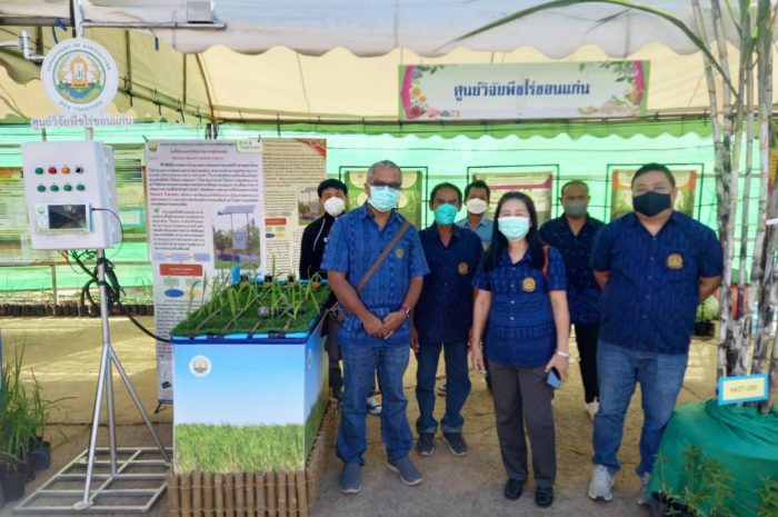 จัดนิทรรศการอ้อยพันธุ์ใหม่ กวก. นครสวรรค์ 1 และระบบการจัดการน้ำตามความต้องการของพืชไร่เศรษฐกิจ