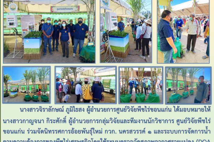 ฉบับที่ 38