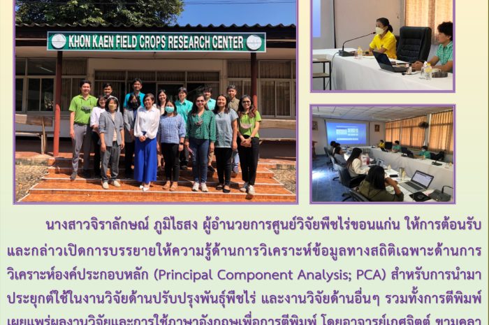 ฉบับที่ 40