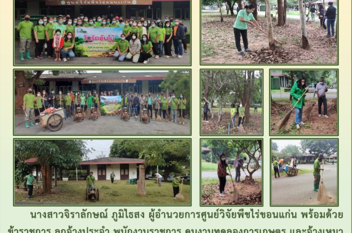 ฉบับที่ 43