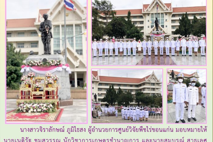 ฉบับที่ 44