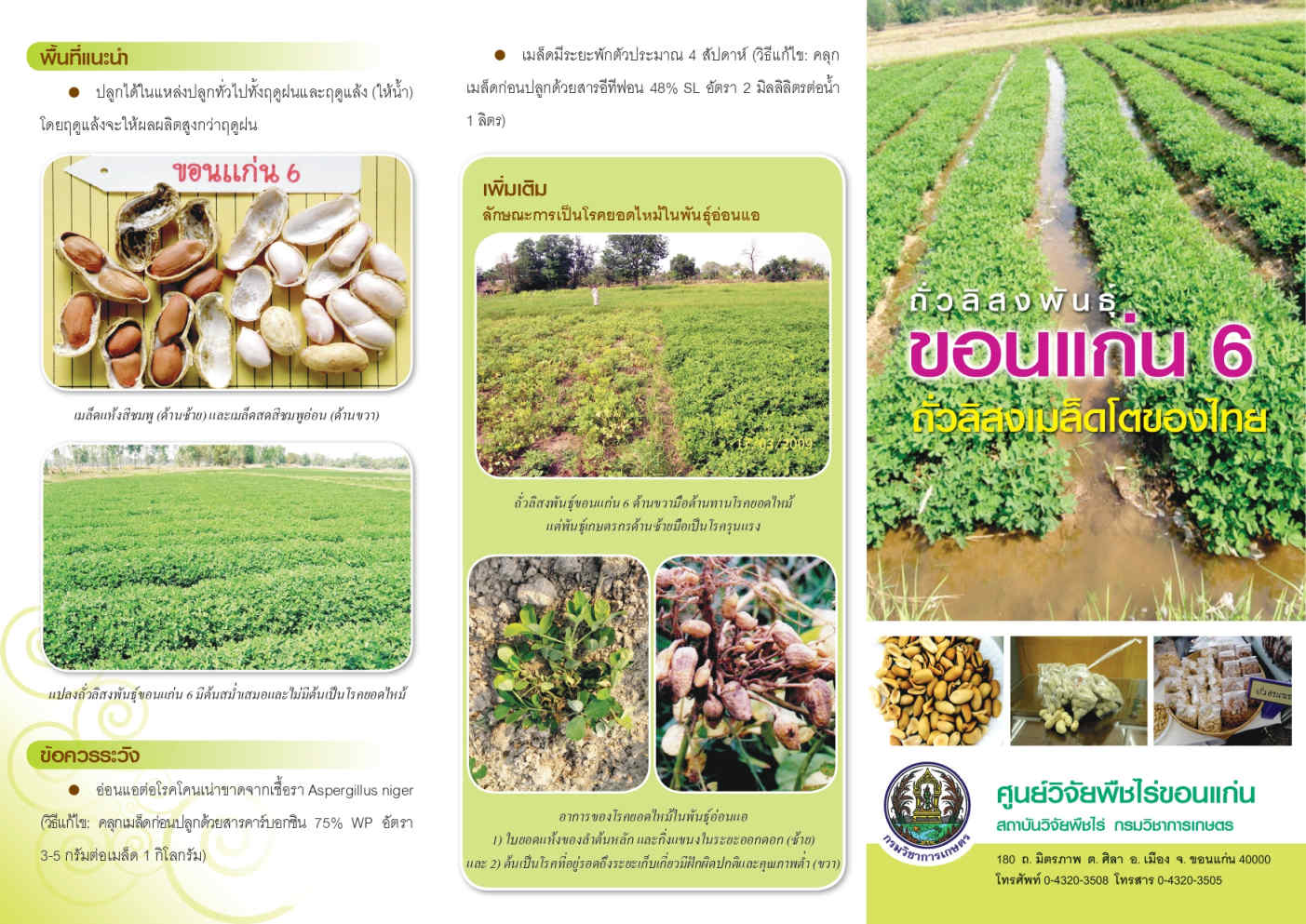 ถั่วลิสงขอนแก่น 6_Page1