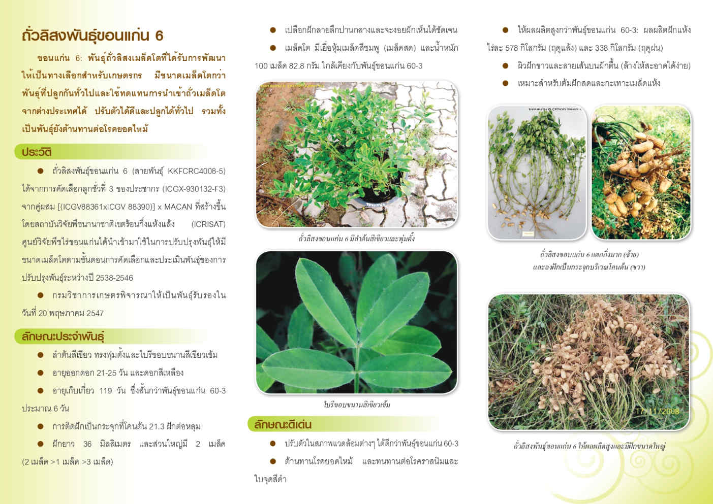 ถั่วลิสงขอนแก่น 6_Page2