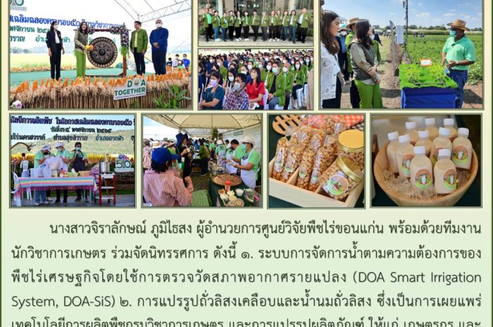 ฉบับที่ 45