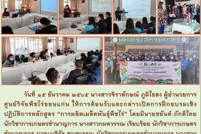 ฉบับที่ 47