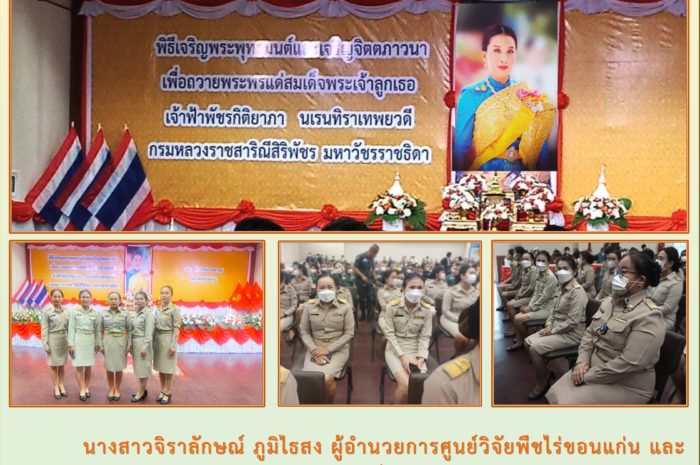 ฉบับที่ 48