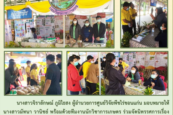 ฉบับที่ 49
