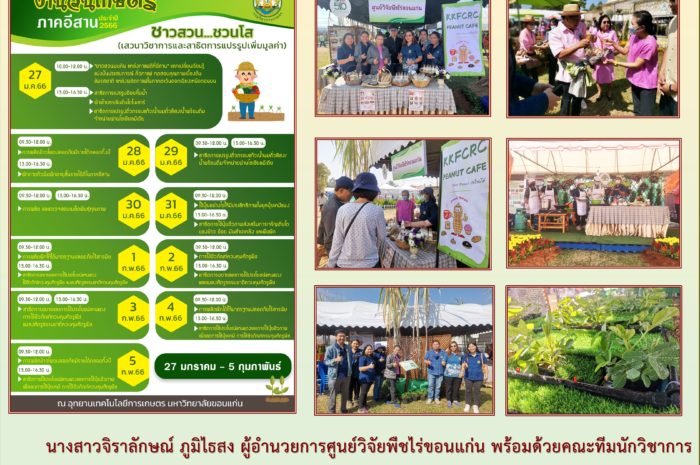 ฉบับที่ 2