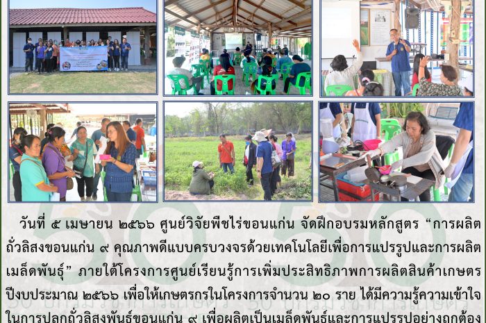 ฉบับที่ 6