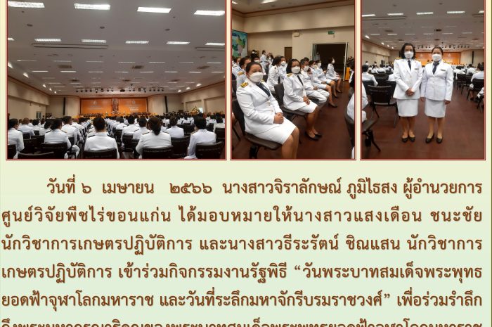 ฉบับที่ 7