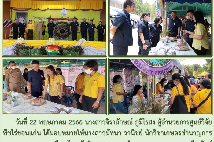 ฉบับที่ 8