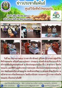 ฉบับที่ 11
