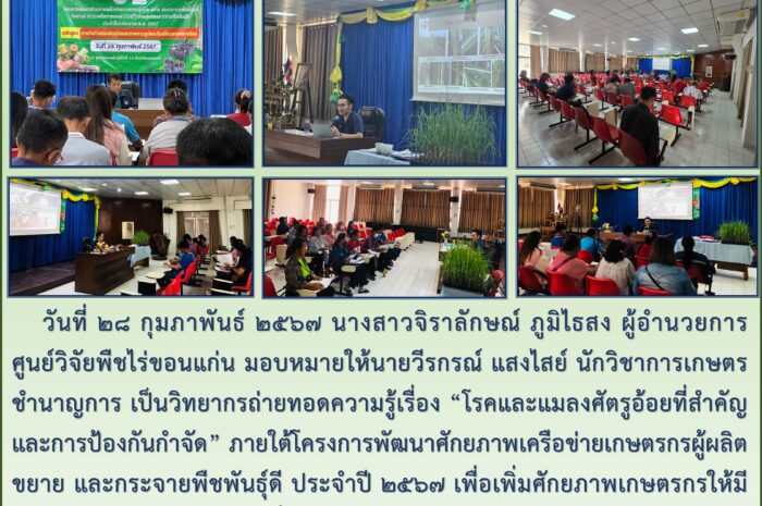 ฉบับที่ ๑๒ / ๒๕๖๗