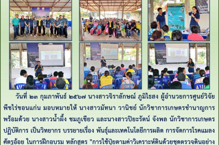 ฉบับที่ ๑๑ / ๒๕๖๗
