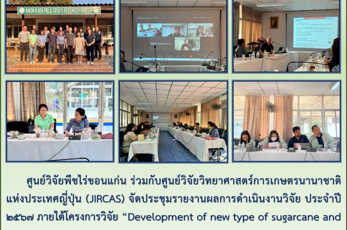 ฉบับที่ ๓ / ๒๕๖๗