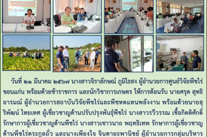ฉบับที่ ๑๗/๒๕๖๗
