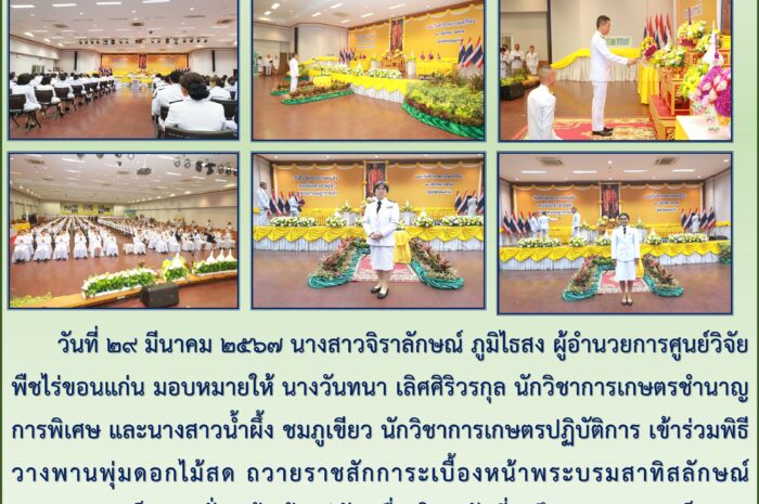 ฉบับที่๒๒ / ๒๕๖๗
