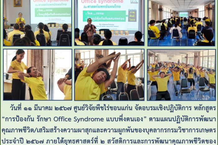 ฉบับที่ ๑๔/ ๒๕๖๗