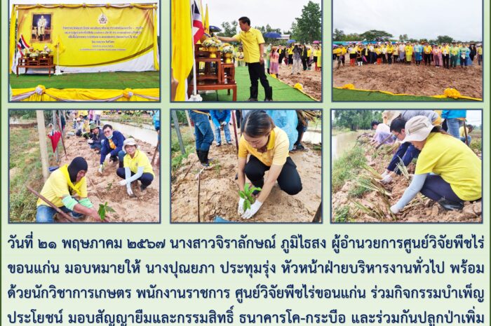 ฉบับที่ ๓๐