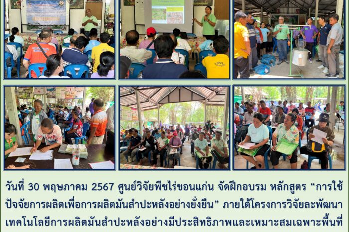 ฉบับที่ ๓๓