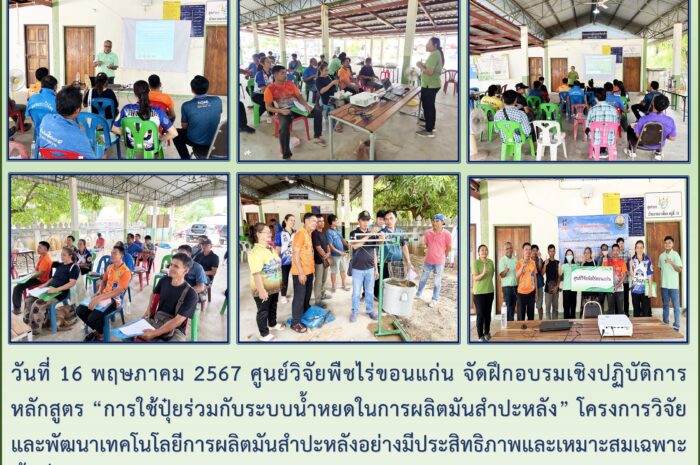 ฉบับที่ ๒๙