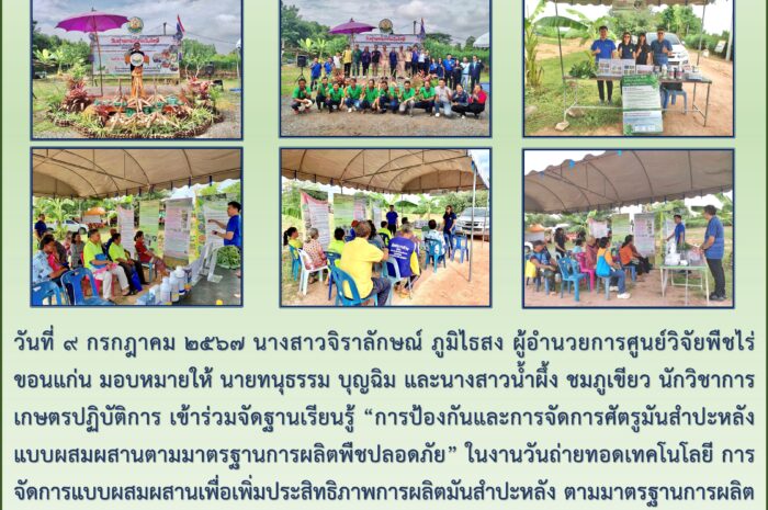 ฉบับที่ ๔๓