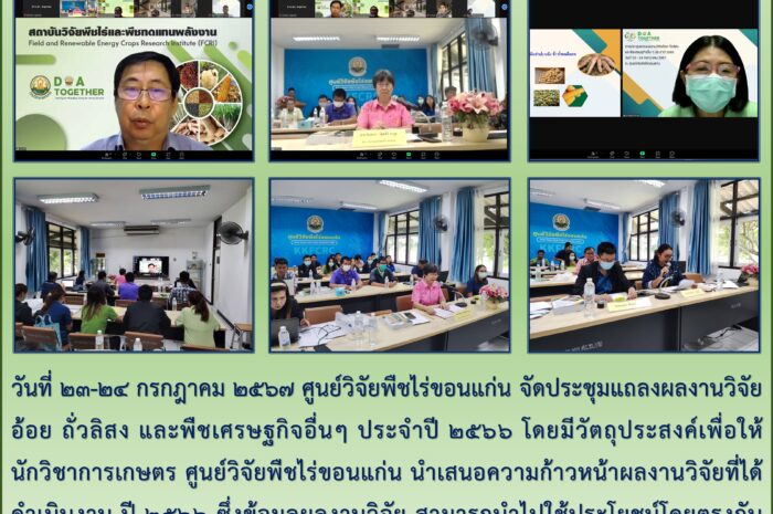 ฉบับที่ ๕๑