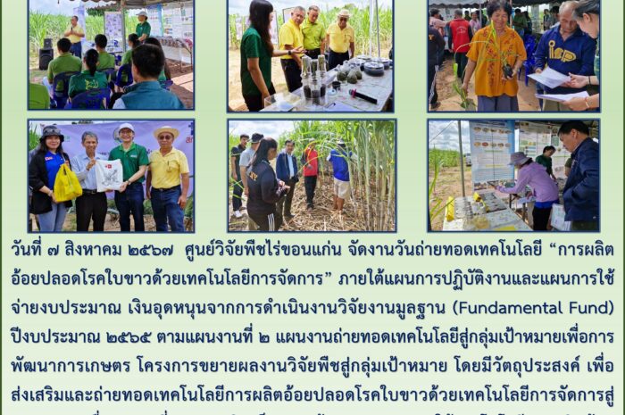 ฉบับที่ ๔๖
