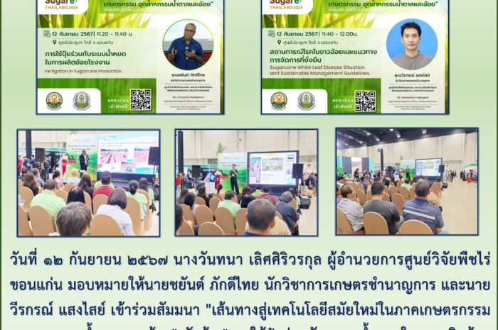 ฉบับที่ ๖๑