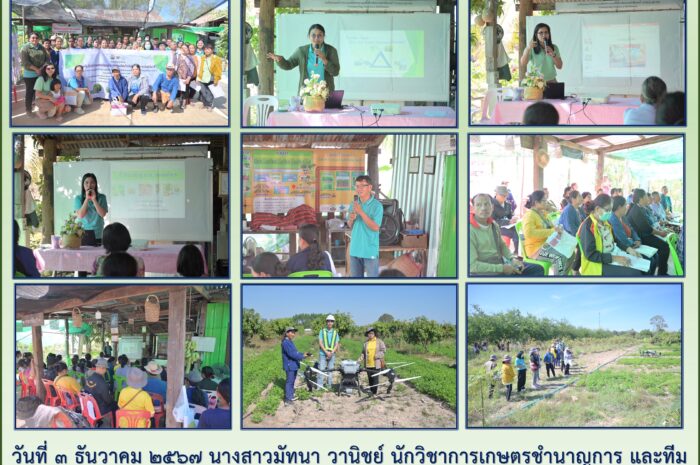 ฉบับที่ ๗๓