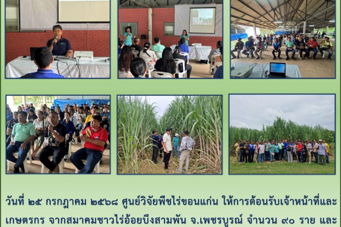 ฉบับที่๑๗/๒๕๖๘