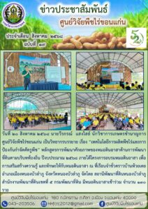 ฉบับที่  ๑๙/๒๕๖๘