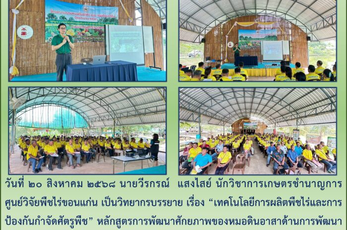ฉบับที่  ๑๙/๒๕๖๘