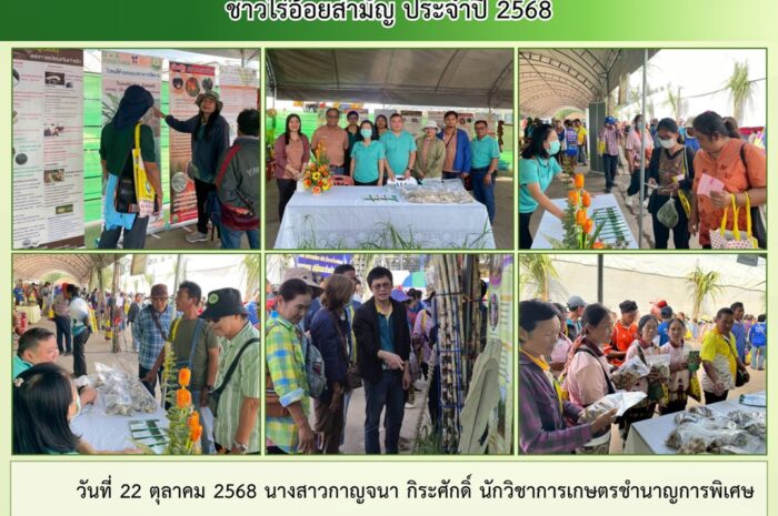 ฉบับที่ 27