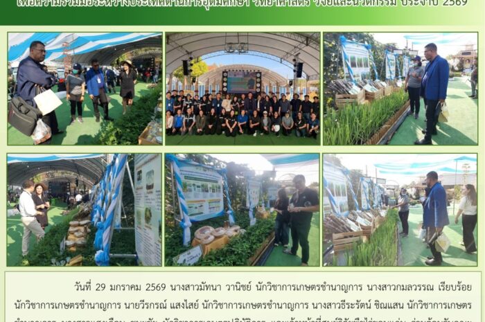 ฉบับที่ 5/2569